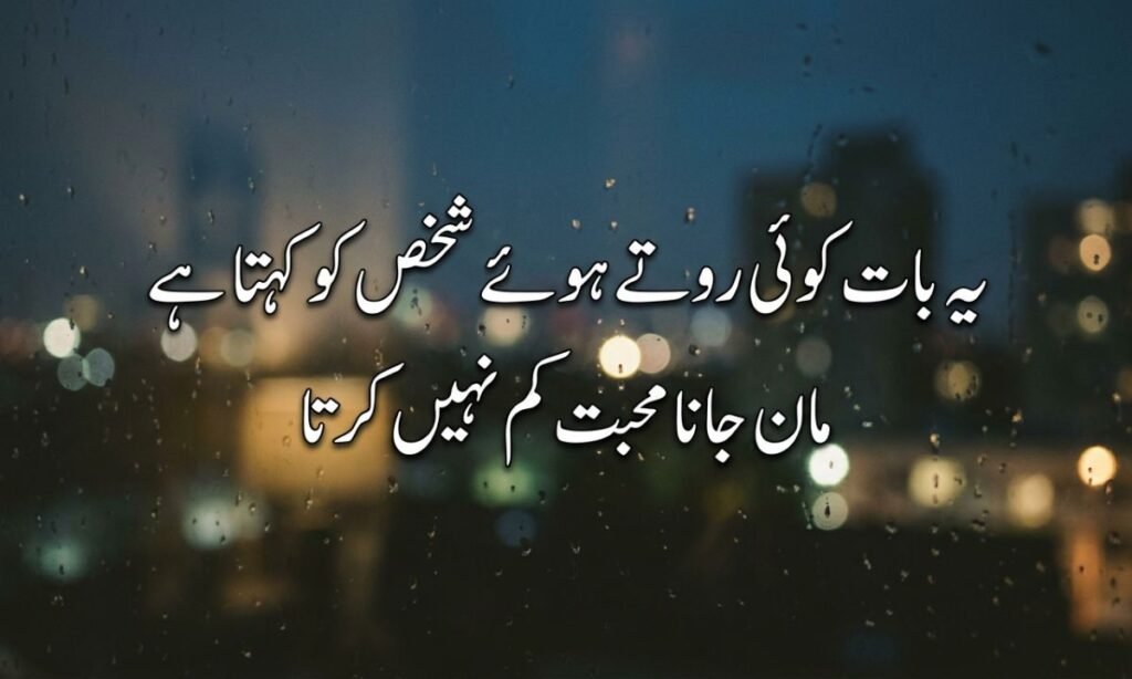 2-Line Narazgi Shayari in Urdu