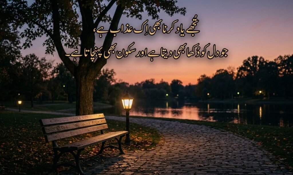 2-Line Yaad Shayari in Urdu